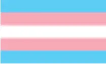 Transgender pride flag